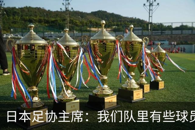 日本足协主席：我们队里有些球员比荷兰和巴西球员更强