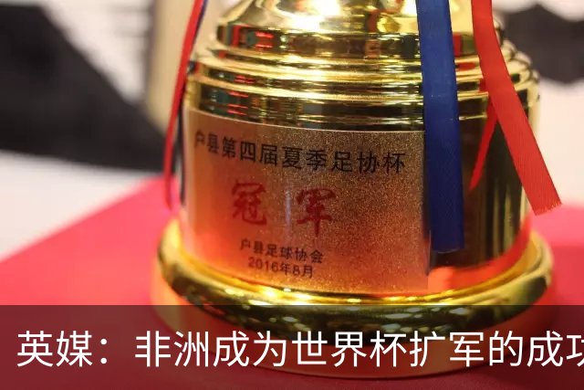 英媒：非洲成为世界杯扩军的成功典范 而亚洲足球需要反思