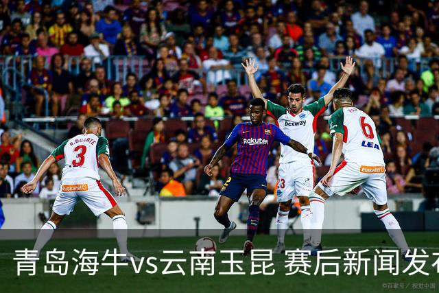 青岛海牛vs云南玉昆 赛后新闻发布会
